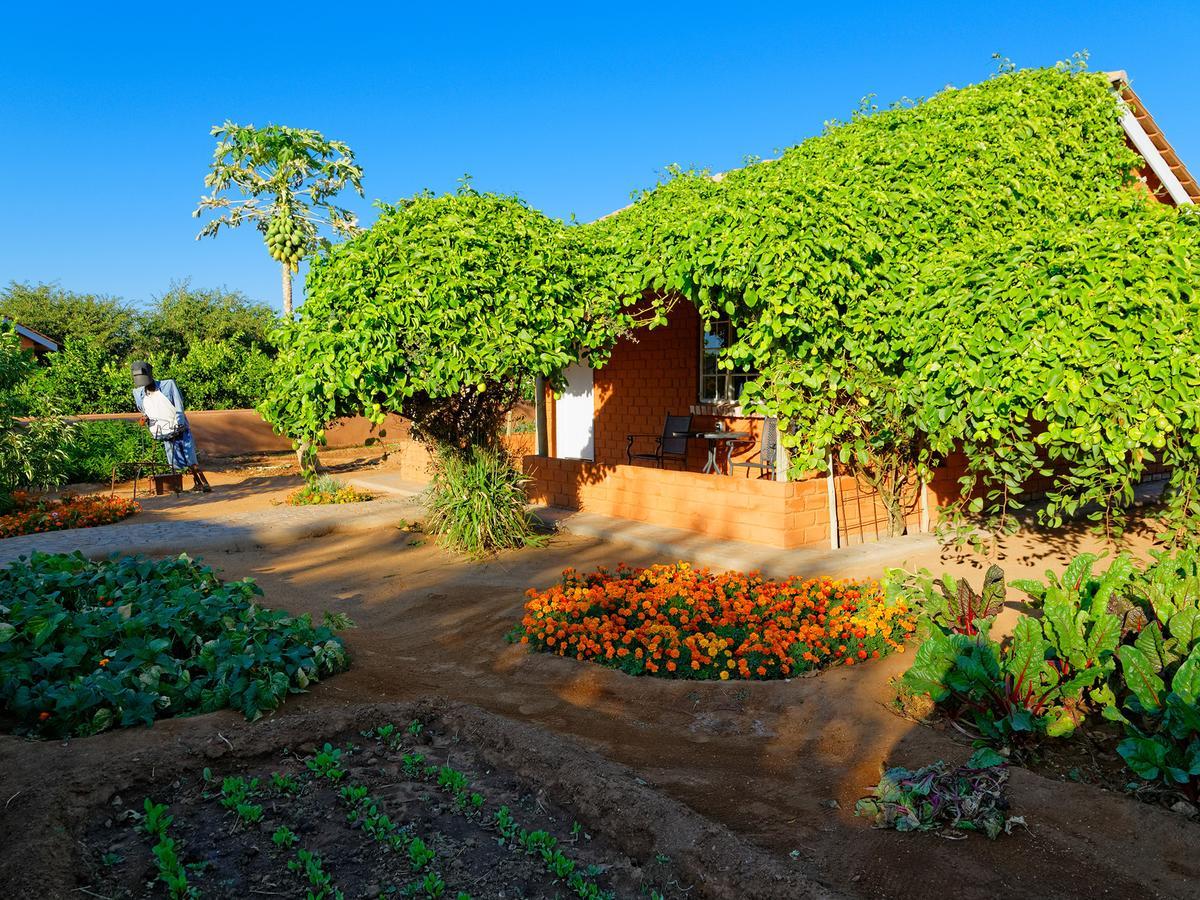 Gondwana Damara Mopane Lodge Mopane Pos Exteriör bild